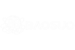 baosou logo white